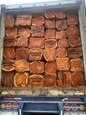 z7170931744662_35a286d1630309a91d7833d4f4c7b46e