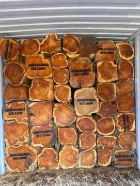 z7170931754211_5eca28d9fe0e87c114d2a6e5440379d9