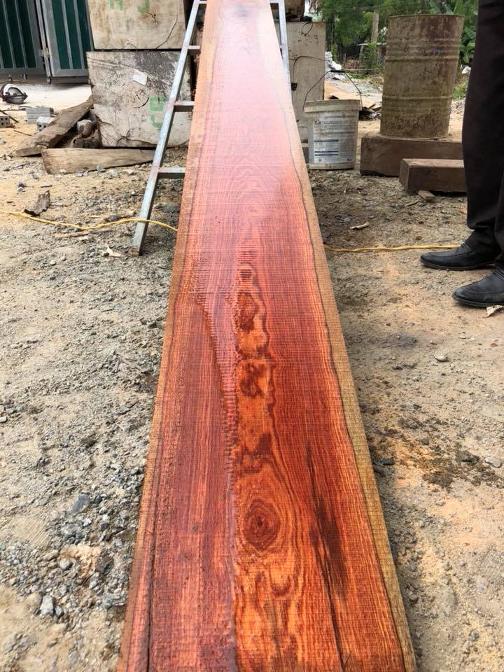 34783739_221563135313951_8406487304608153600_n