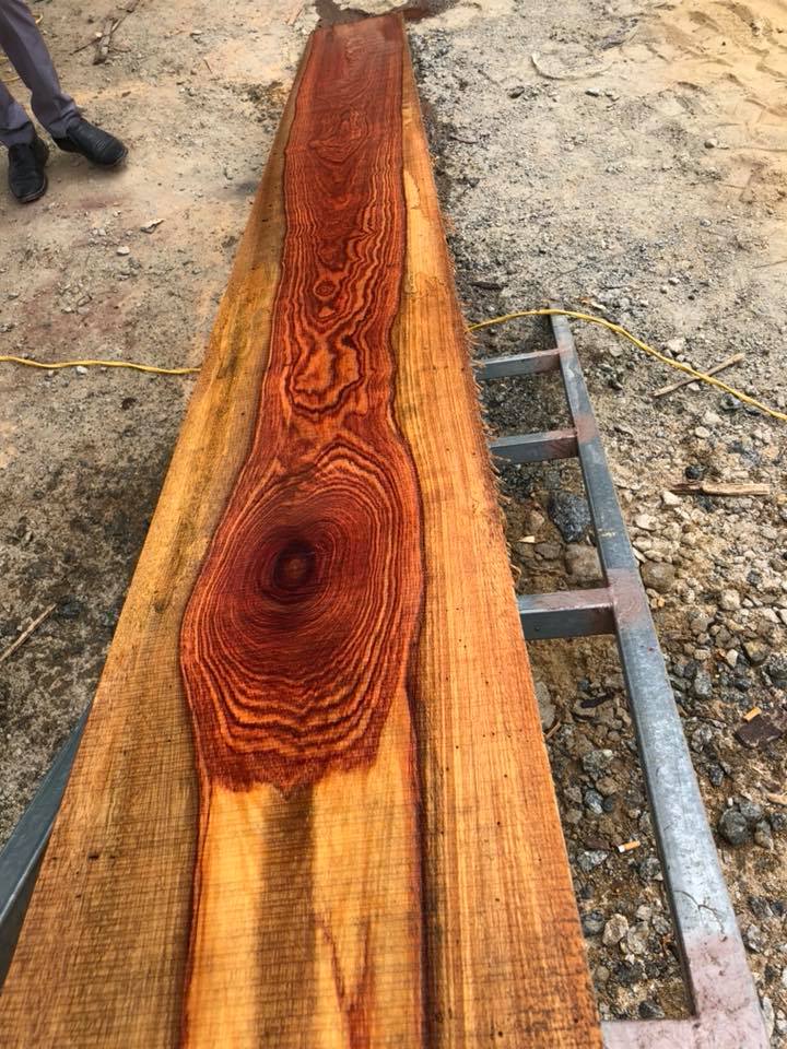 34963163_221563108647287_286560973903364096_n