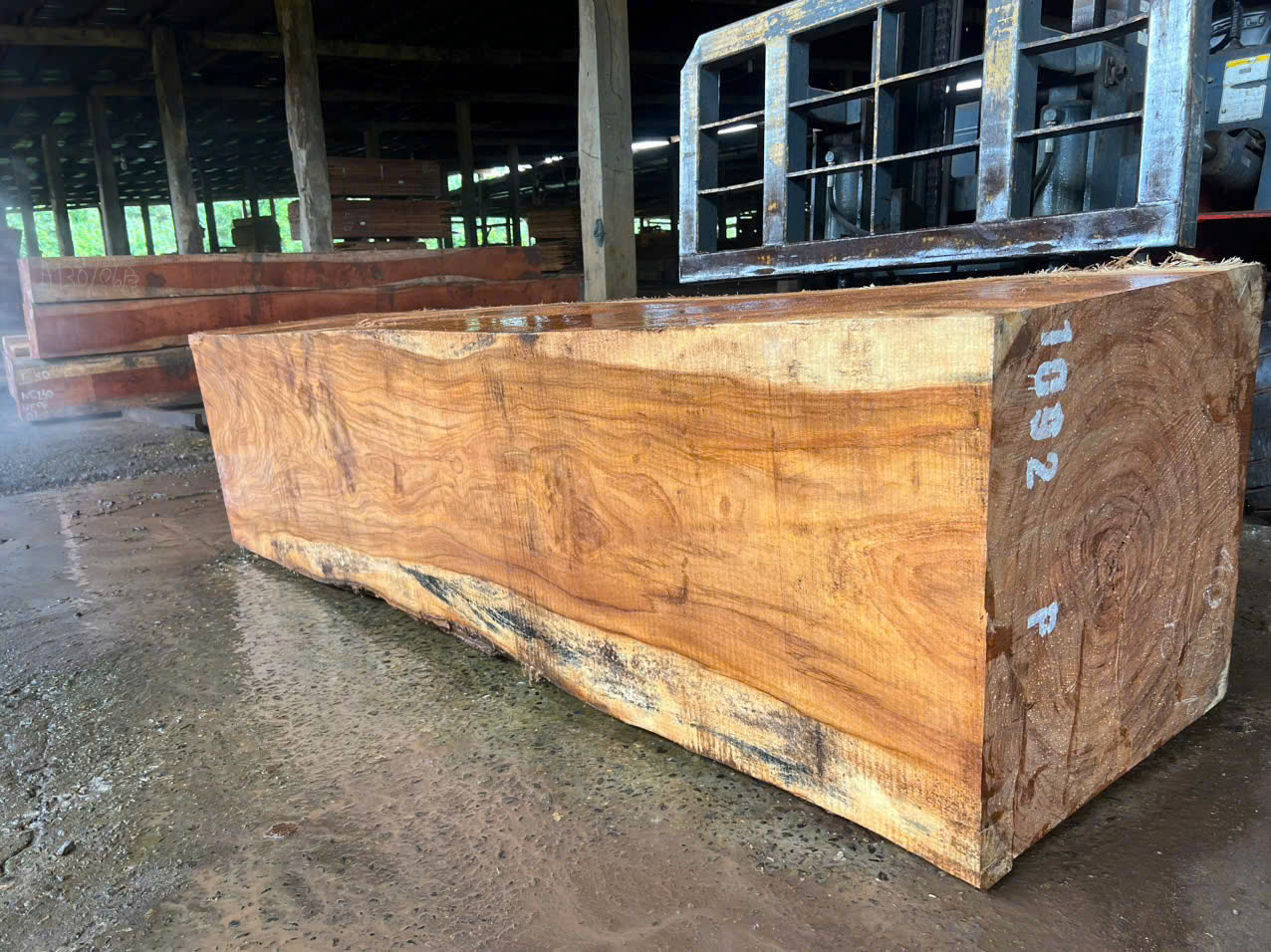 3a61dddb-9b33-48a6-918c-1248858a627c