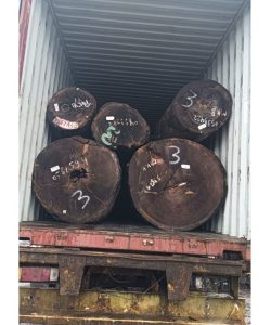 Gỗ Gõ Đỏ MKB - Kính 85