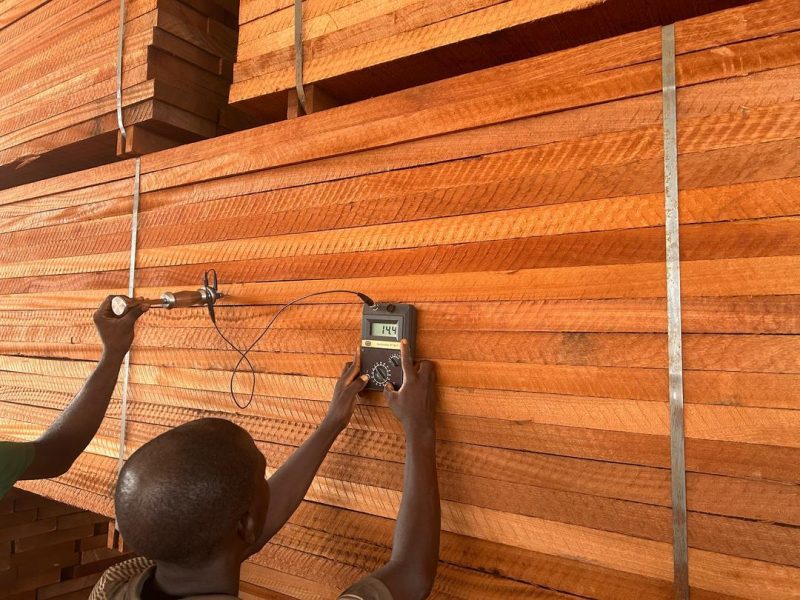 WhatsApp Image 2025-04-26 at 20.31.58 (1)