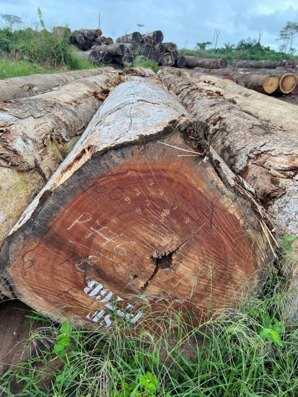 00a5bcb689f727a97ee634