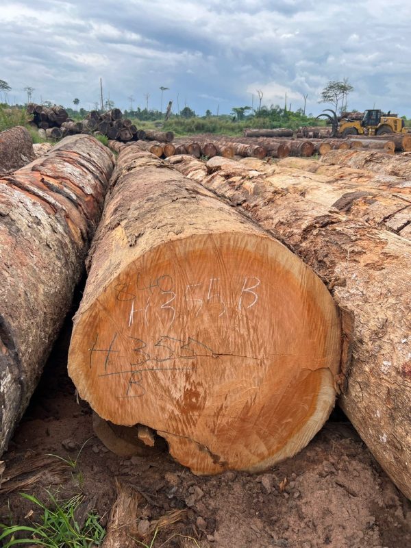 44afc18ff4ce5a9003df10