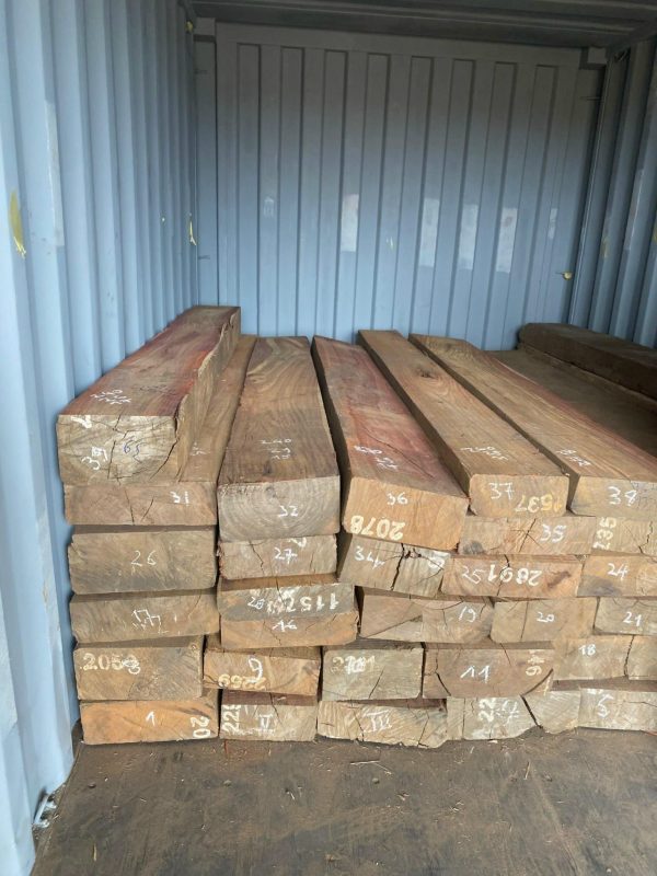 481076035_629385553146220_4519802312425142585_n