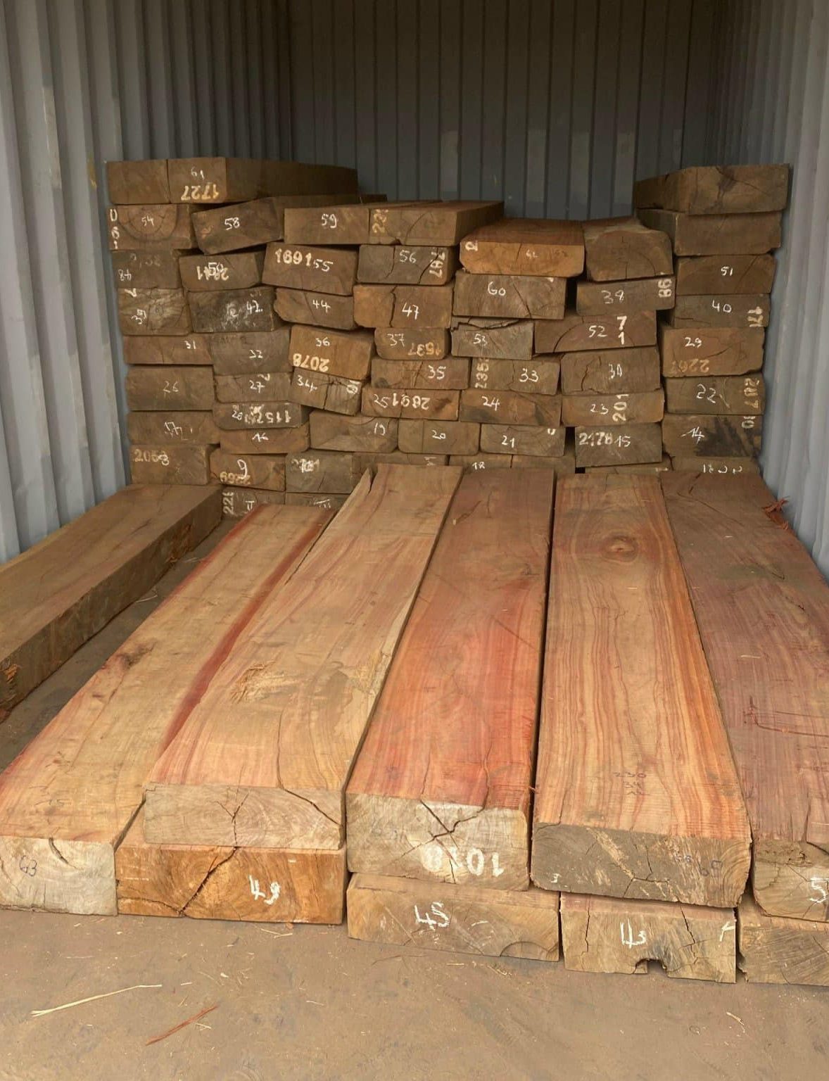 481811490_629385279812914_7567301049652433966_n