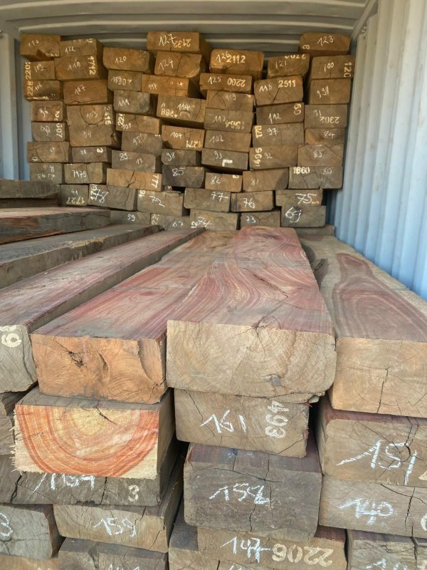 481831031_629385153146260_5120018019573773649_n