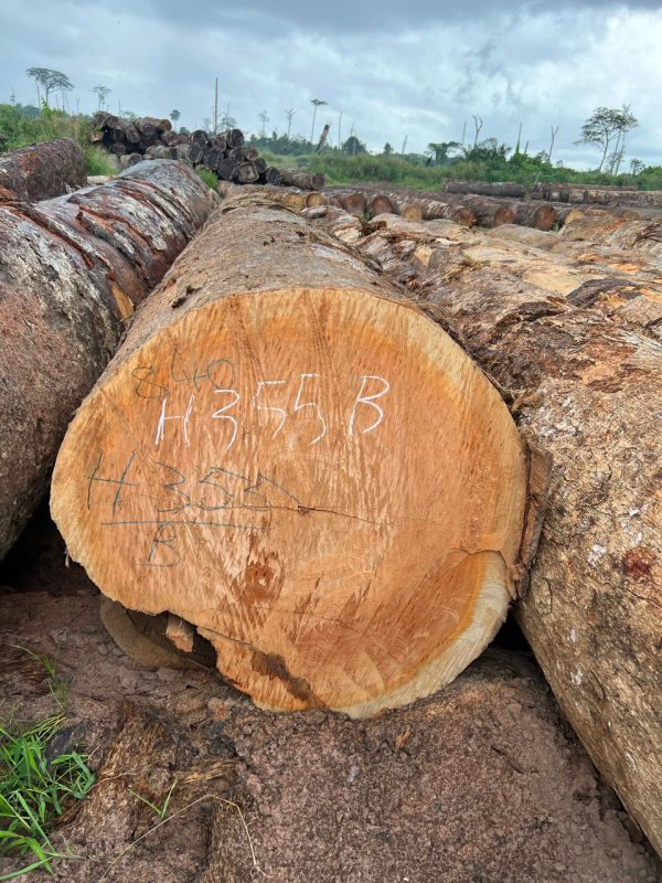 6cd5a5d390923ecc678322