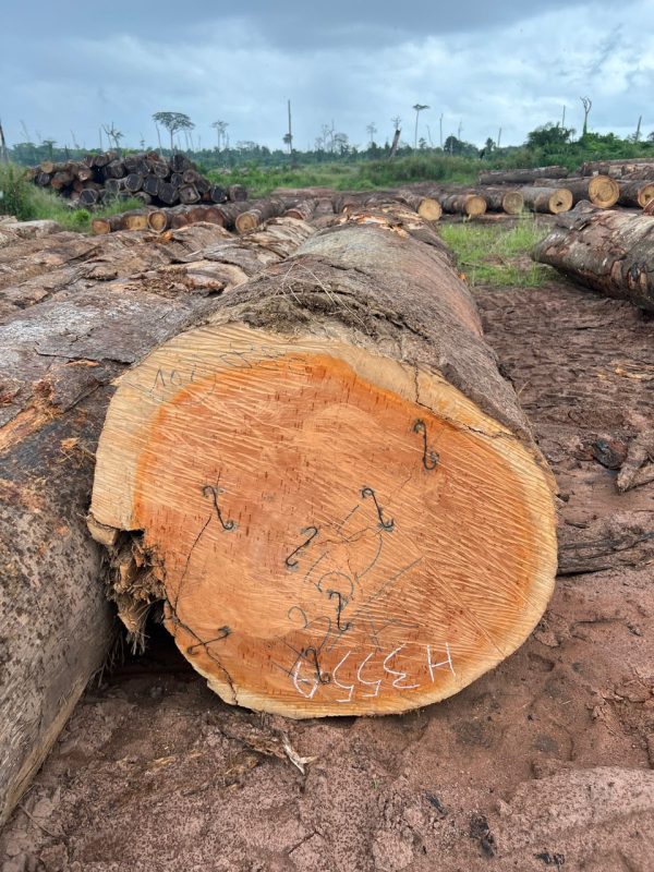 6fba92b8a7f909a750e826