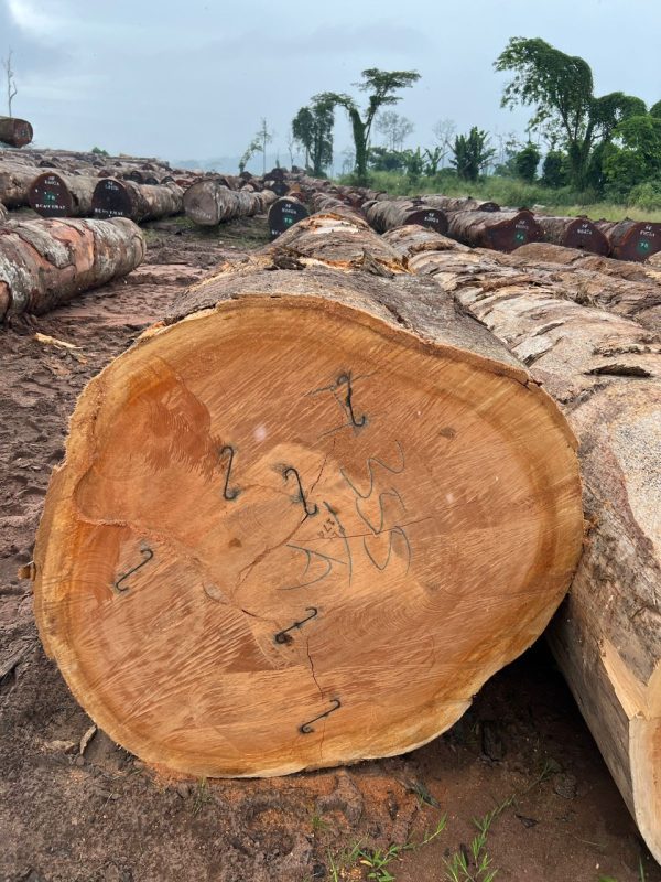 8caf23b116f0b8aee1e128