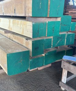 Lim Xanh Nam Mỹ - DJI