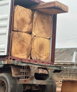 Gỗ Dâu Nam Phi - Iroko