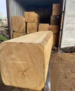 Gỗ Dổi Nam Phi - Muvingui