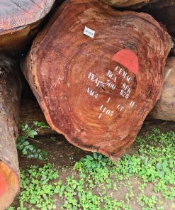 Gỗ Lim Tròn Nam Phi - VANH 250+