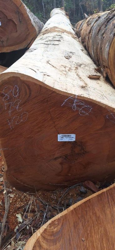 WhatsApp Image 2025-09-23 at 17.46.10_ad19903f