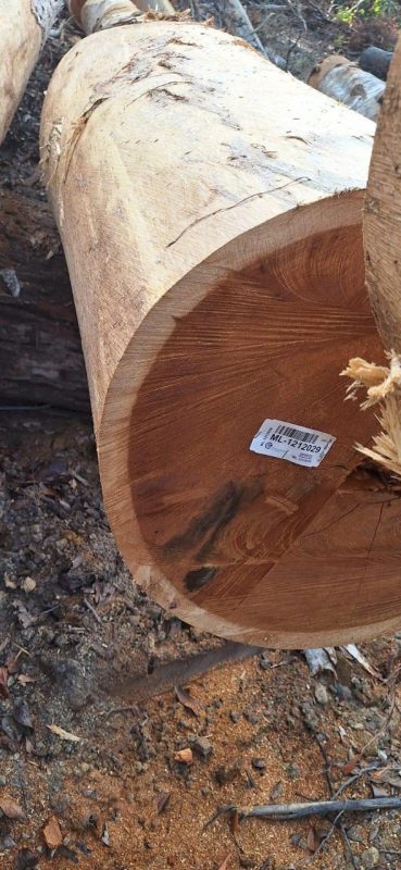 WhatsApp Image 2025-09-23 at 17.46.14_1579f54d