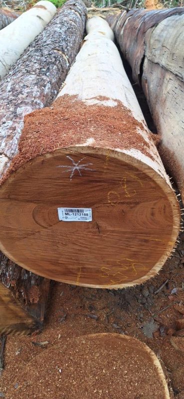 WhatsApp Image 2025-09-23 at 17.46.17_6436e968