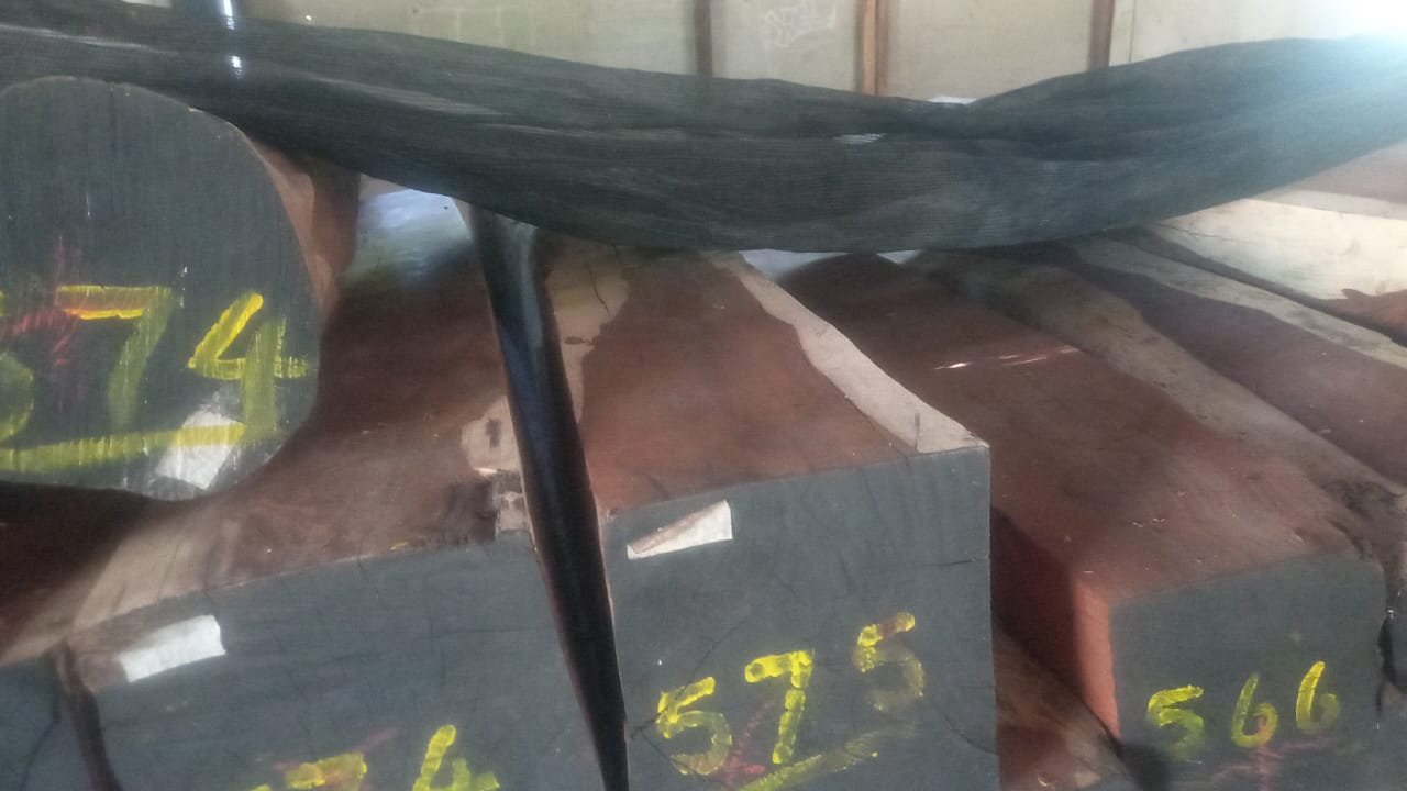 WhatsApp Image 2025-11-25 at 09.21.24