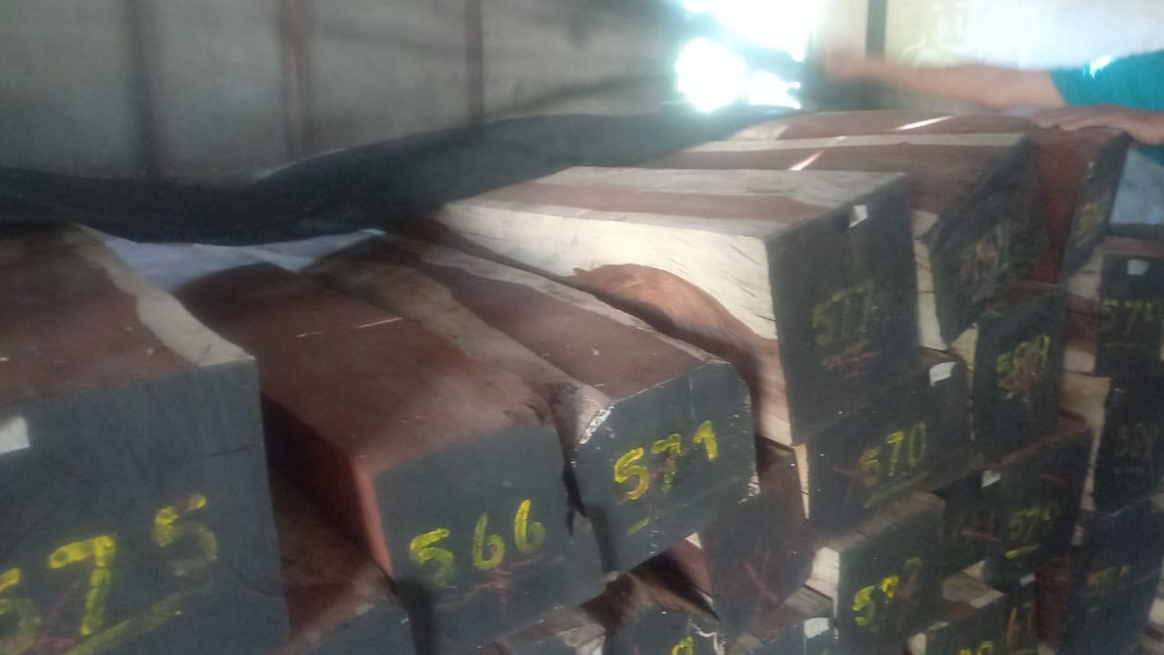 WhatsApp Image 2025-11-25 at 09.21.241