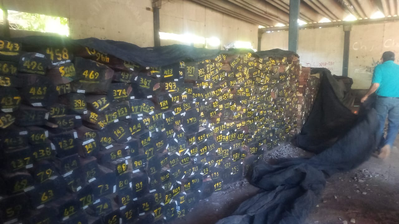 WhatsApp Image 2025-11-25 at 09.21.244